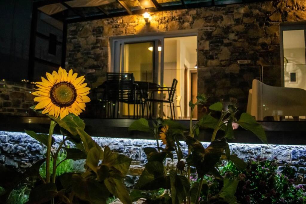 Apartamento Istron Avra Kalo Chorio  Exterior foto