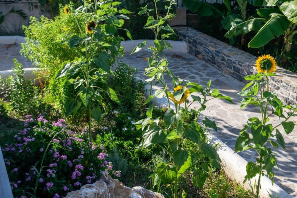 Apartamento Istron Avra Kalo Chorio  Exterior foto